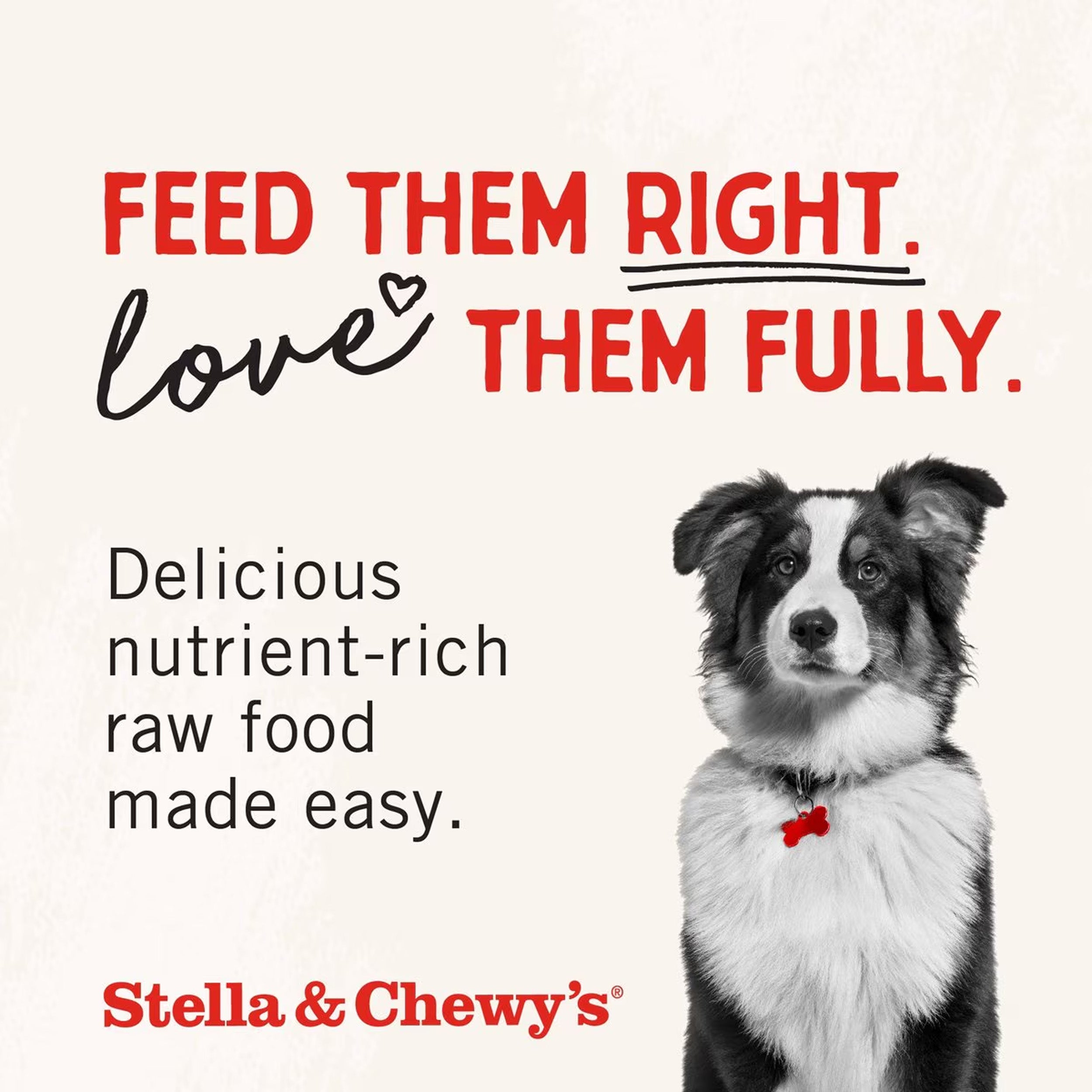 Stella & Chewy's Chewy's Chicken Dinner Patties Freeze-Dried Raw Dog Food, 14-oz bag