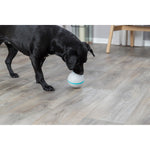 Load image into Gallery viewer, Trixie Dog Treat Tumbler Snack Ball - Level 1 Puzzle
