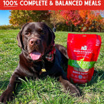 Load image into Gallery viewer, Stella &amp; Chewy&#39;s Duck Duck Goose Dinner Patties Freeze-Dried Raw Dog Food, 14-oz bag
