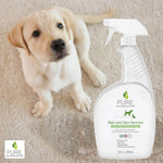 Load image into Gallery viewer, Pure And Natural Pet Stain and Odor Remover (Fragrance Free)
