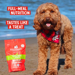 Load image into Gallery viewer, Stella &amp; Chewy&#39;s Duck Duck Goose Dinner Patties Freeze-Dried Raw Dog Food, 14-oz bag
