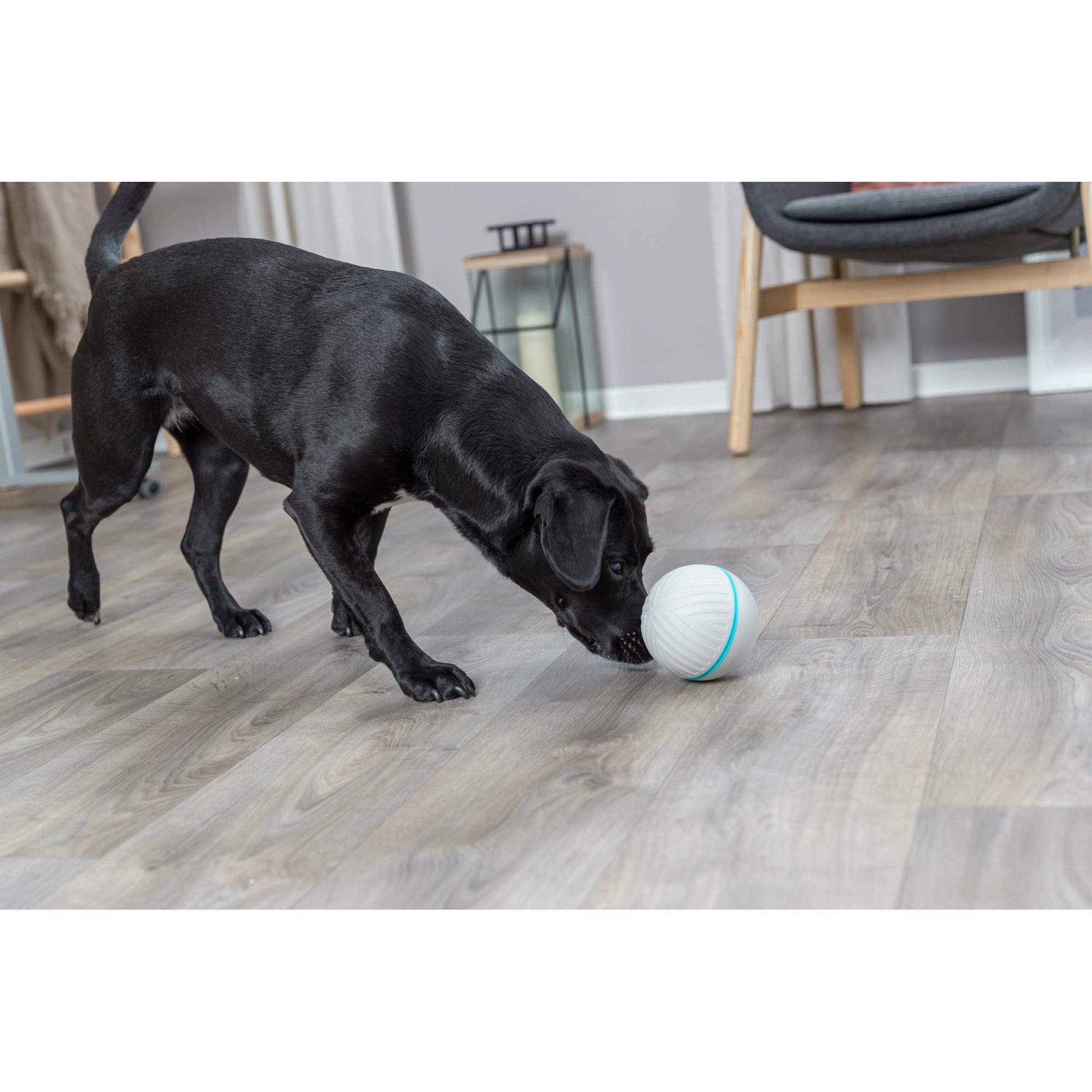 Trixie Dog Treat Tumbler Snack Ball - Level 1 Puzzle