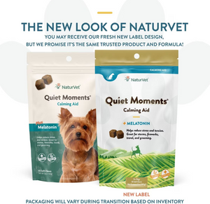 NaturVet Quiet Moments Plus Melatonin Soft Chews Calming Supplement for Dogs