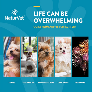 NaturVet Quiet Moments Plus Melatonin Soft Chews Calming Supplement for Dogs