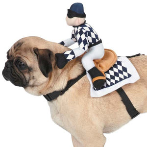 Zack & Zoey Show Jockey Saddle Costume