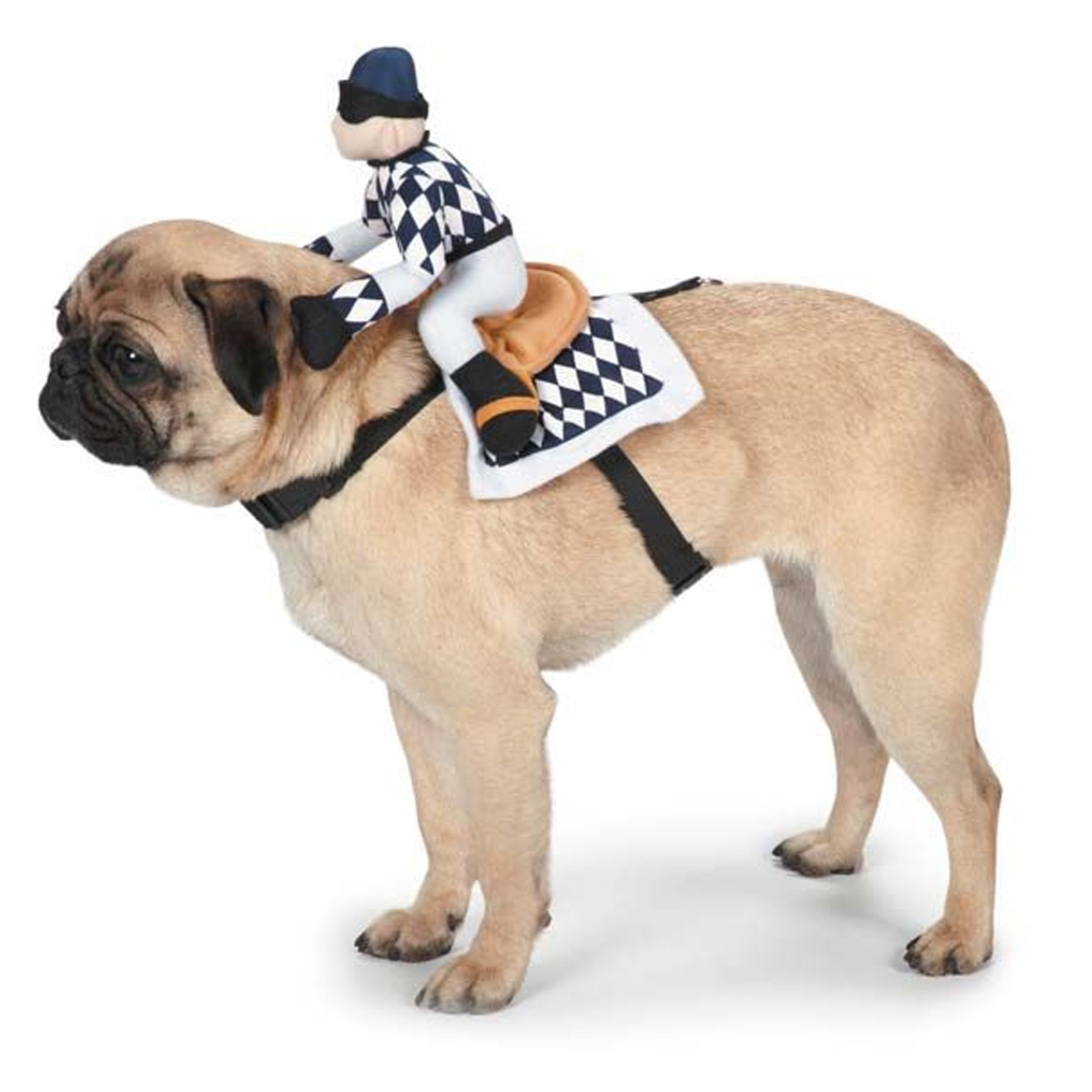 Zack & Zoey Show Jockey Saddle Costume