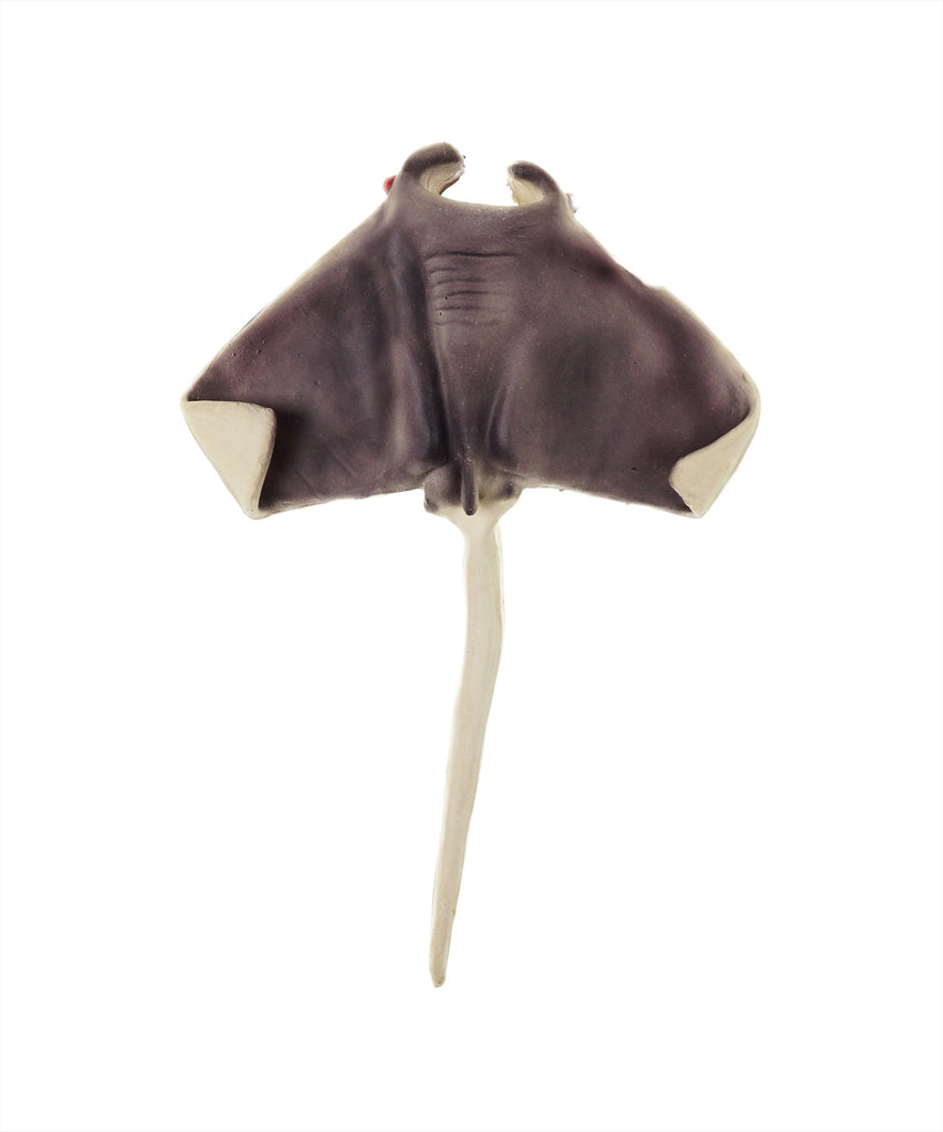 rubber sting ray dog toy 16